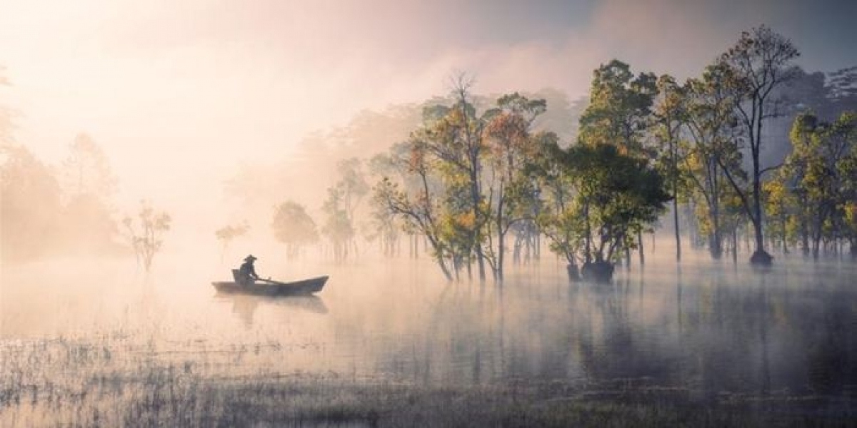 vietnamese photographer wins gold at epson international pano awards picture 1