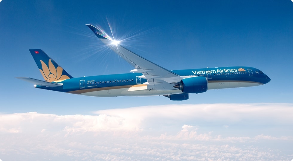 vietnam airlines plans to operate nearly 40 domestic routes picture 1