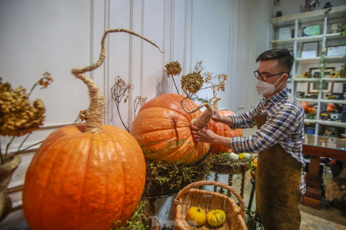 giant pumpkins prepared ahead of halloween celebrations picture 6