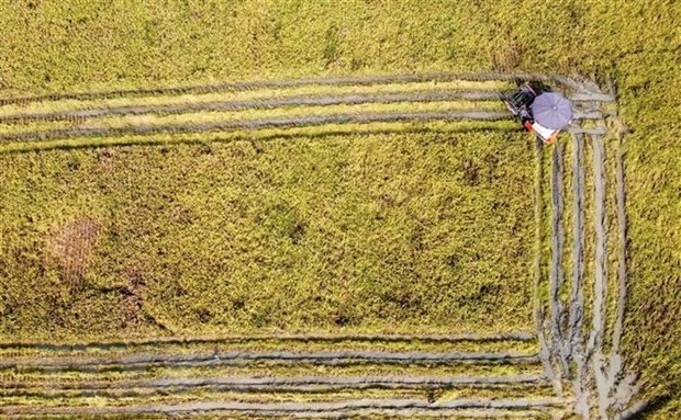 vietnam ready to work with fao towards sustainable food systems official picture 1