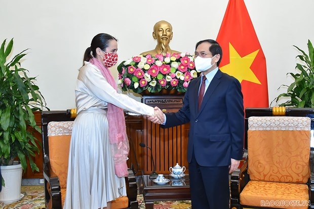 fm expects vietnam, new zealand to propel strategic partnership forward picture 1