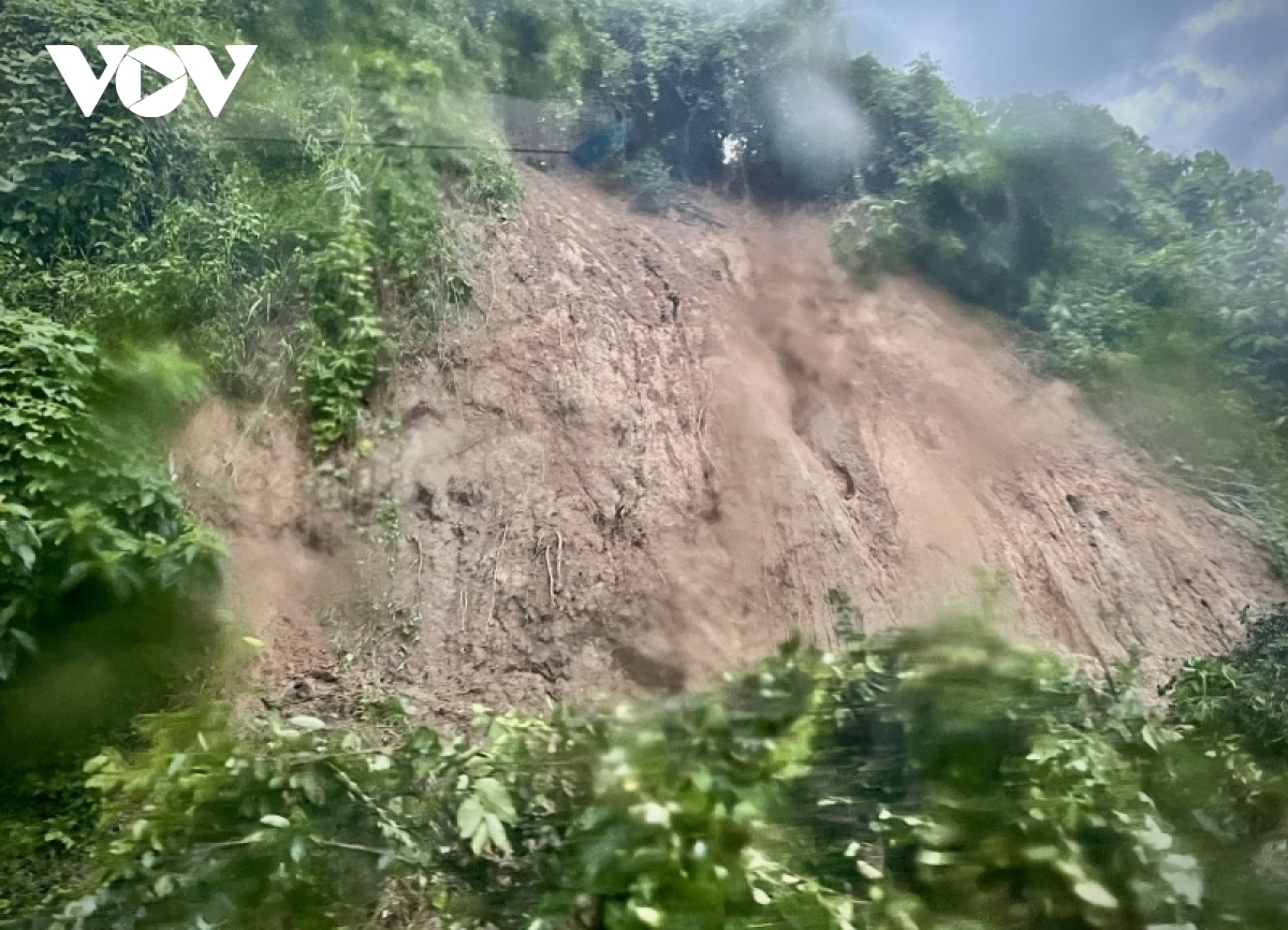 Heavy downpour triggers landslides in Phuoc Son district.