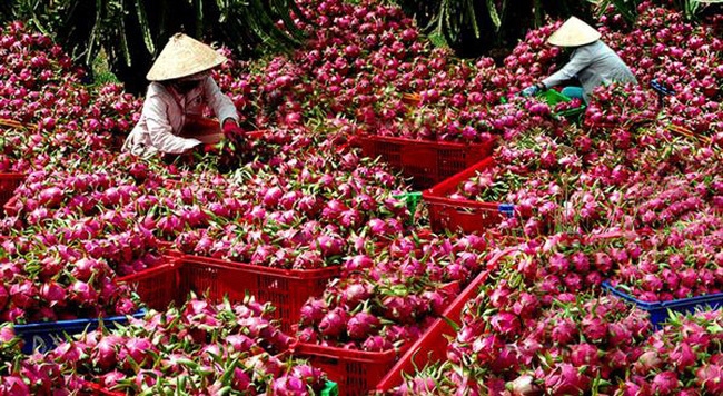 agricultural products face challenges when entering chinese market picture 1