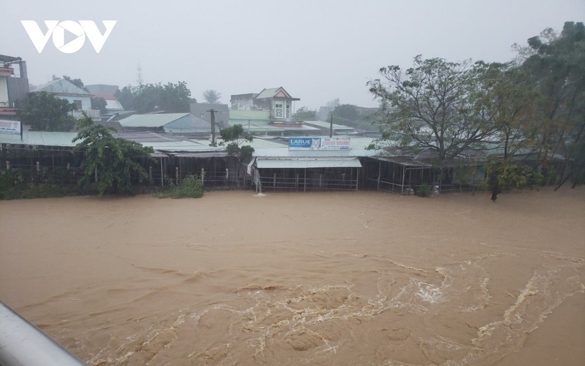 vietnam ready to unite with countries to respond to natural disasters picture 1