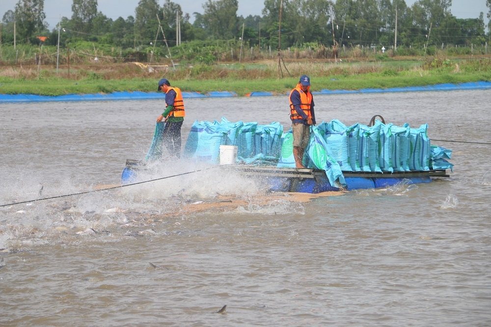 ĐBSCL nỗ lực phục hồi kinh tế thích ứng linh hoạt với dịch bệnh sau giãn cách