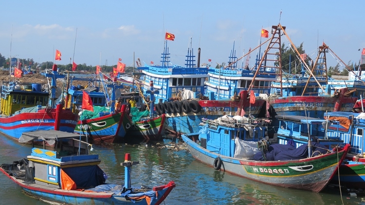 greater efforts aim to remove vietnam from iuu fishing warning picture 1