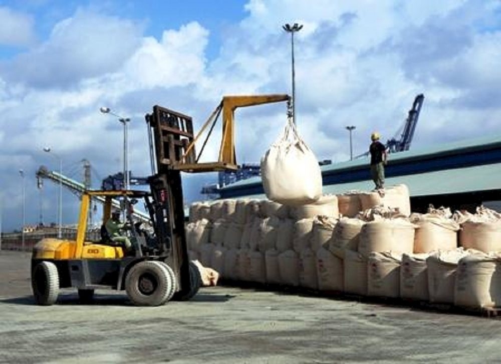 cement exports record surge amid decline in domestic consumption picture 1