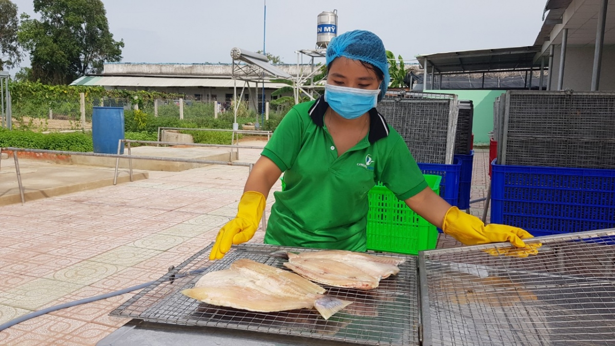 doanh nghiep nong nghiep can ton tai truoc khi tinh chuyen phuc hoi hinh anh 2