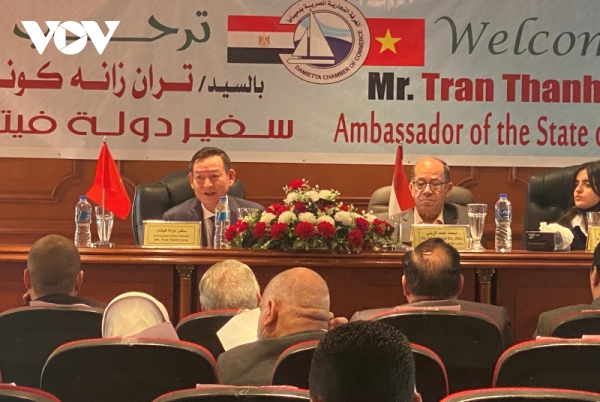 vietnam, egypt beef up trade and investment co-operation picture 3