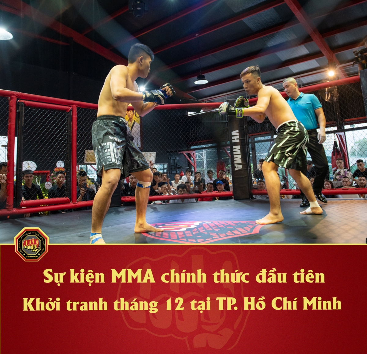 lien doan mma to chuc su kien thi dau chinh thuc dau tien vao thang 12 hinh anh 1