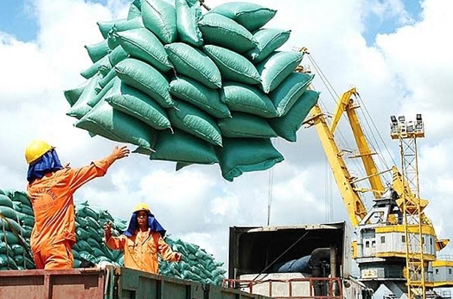 positive outlook for local rice exports by year-end picture 1