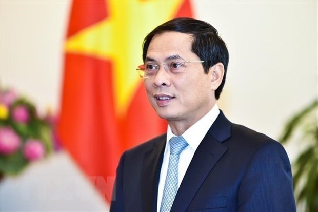 Minister of Foreign Affairs Bui Thanh Son (Photo: VNA)