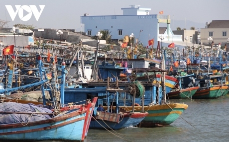 ba ria - vung tau tang cuong kiem soat dich benh tai cac cang ca hinh anh 1