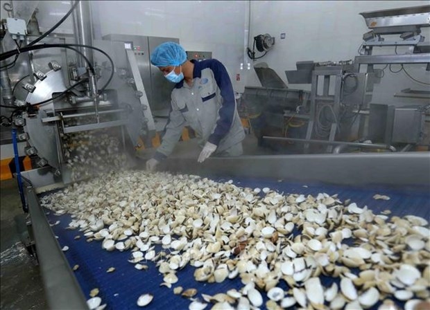 vietnamese firm exports canned clams to europe picture 1