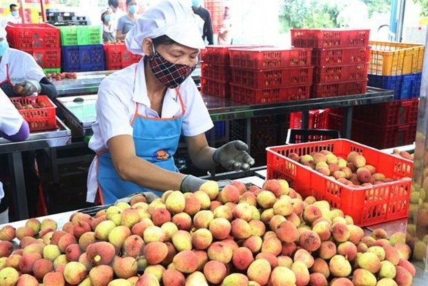 asean market boasts opportunities for vietnamese firms official picture 1