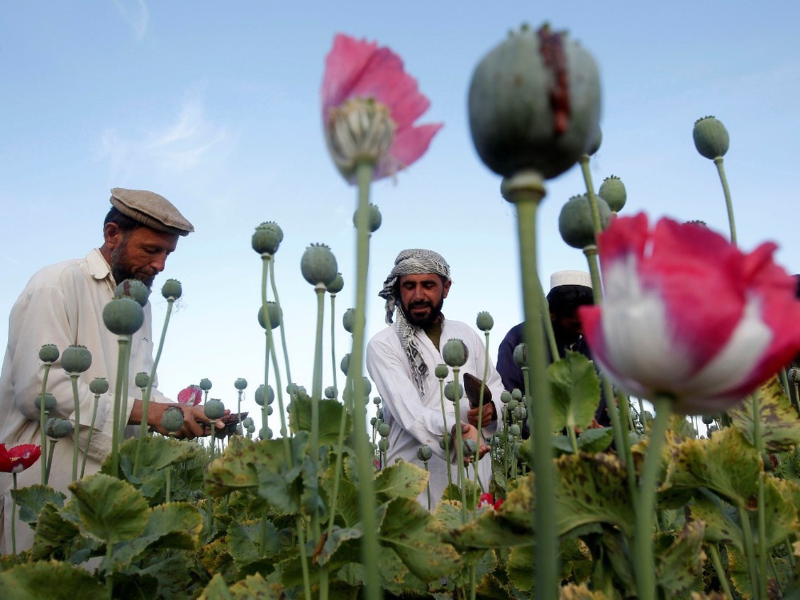 heroin tu afghanistan tiep tuc do ra thi truong toan cau, nguy co khung bo ma tuy hinh anh 1