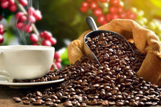 coffee exports to enjoy robust growth ahead in fourth quarter picture 1