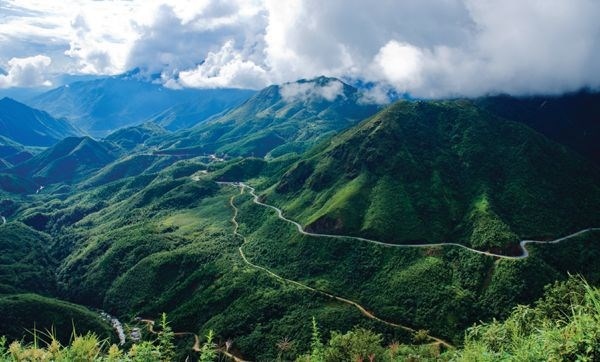 lao cai receives usaid s aid for sustainable forest management picture 1