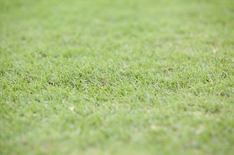 The football pitch now boasts high-quality grass.