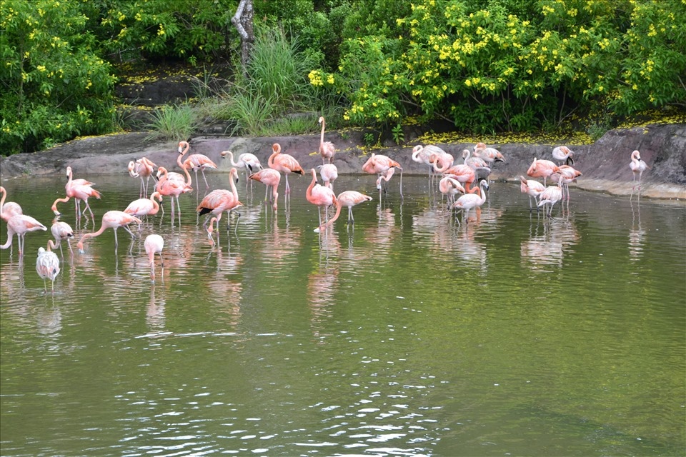 major tourist attractions for foreign tourists in phu quoc picture 4