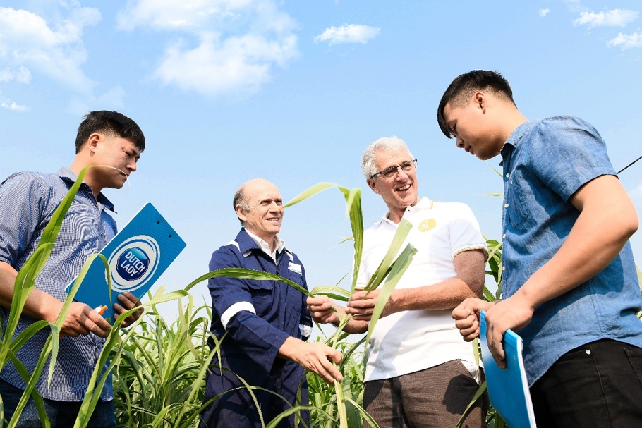 Hơn 2.500 hộ nông dân nuôi bò sữa tham gia chương trình phát triển ngành sữa của công ty tại Việt nam.