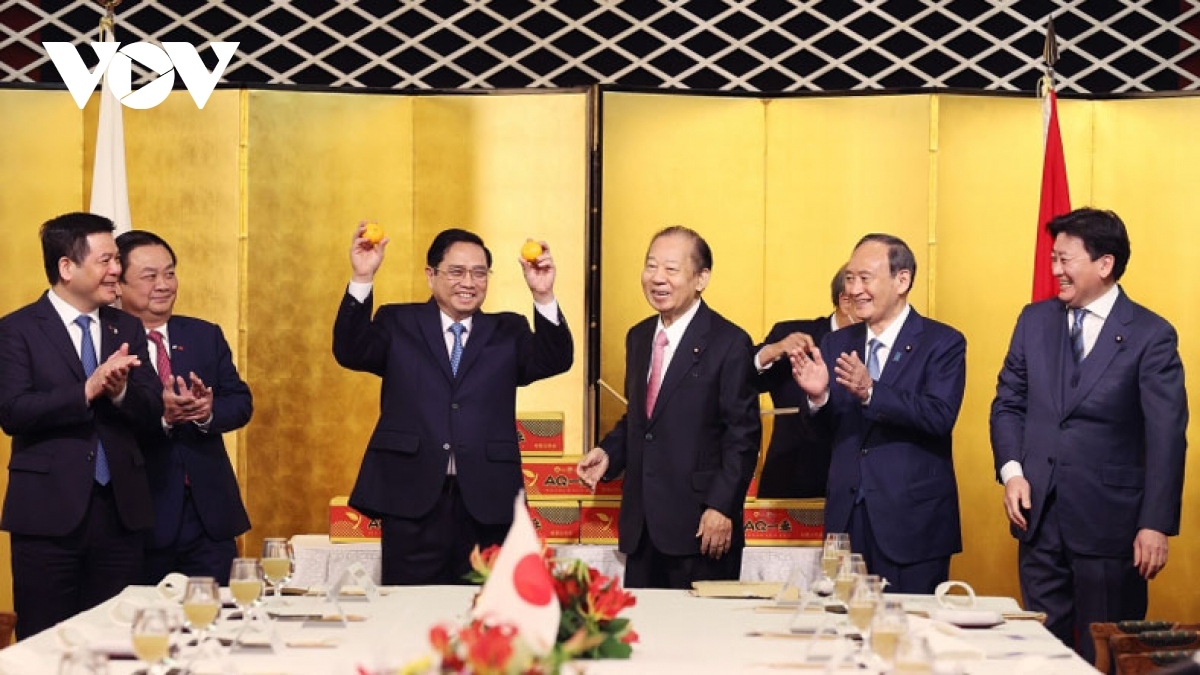 japan is vietnam s leading strategic partner, says pm chinh picture 3 japan is vietnam s leading strategic partner, says pm chinh picture 3