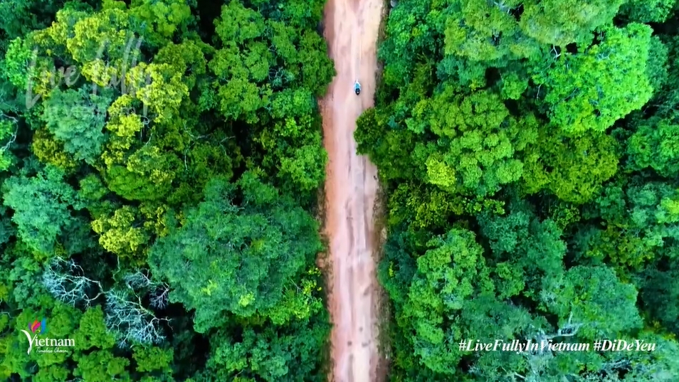Vietnamese beauty featured in “Travel to Love!” video clip