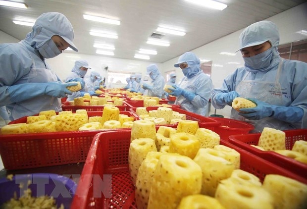 vietnamese firms seek to promote farm produce export to russia, eaeu picture 1