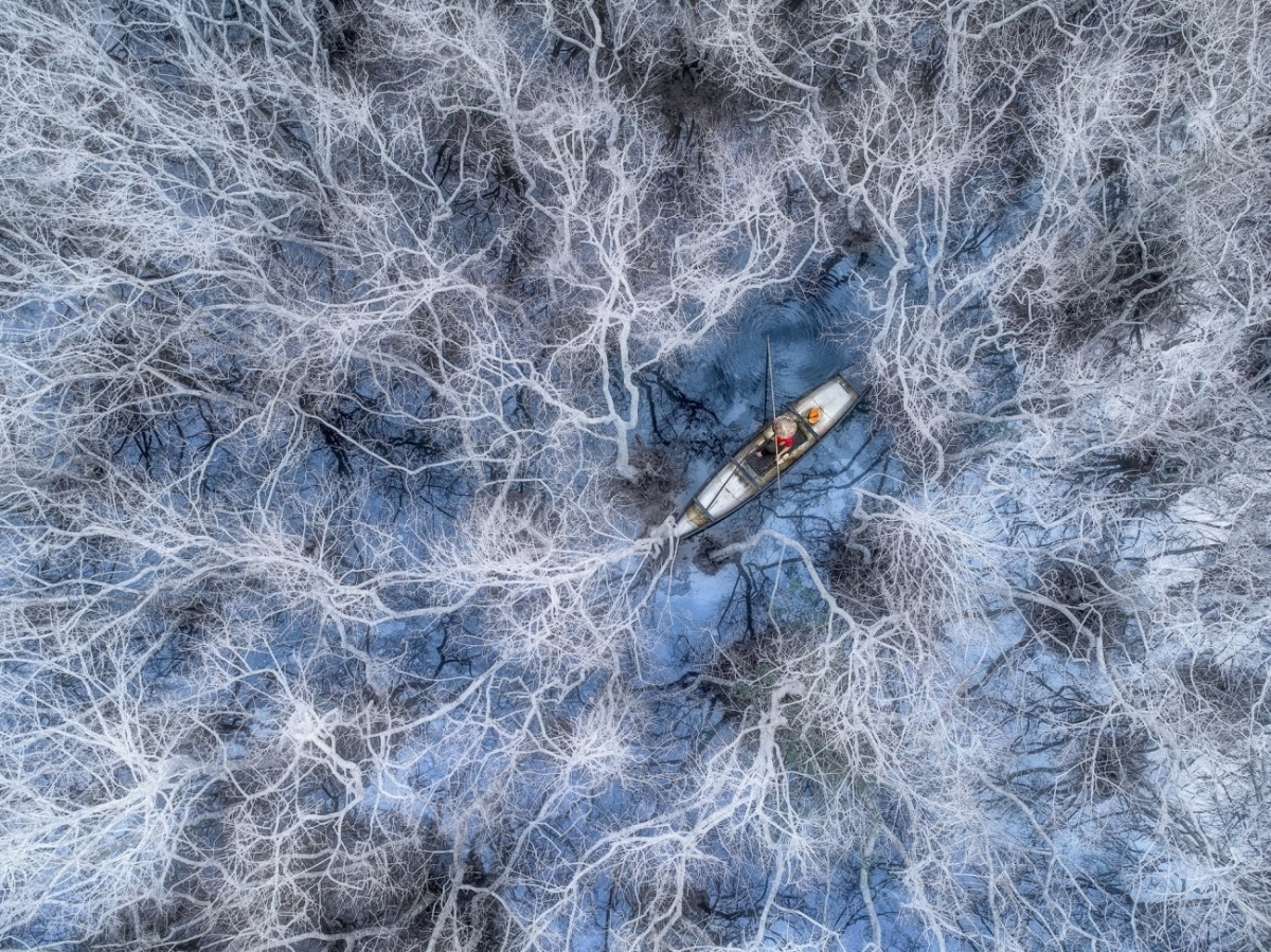 Bức ảnh “Đánh cá ở rừng ngập mặn” của nhiếp ảnh gia Phạm Huy Trung đã đoạt giải cao nhất chủ đề "Con người" nội dung ảnh đơn, tại cuộc thi ảnh quốc tế Drone Photo Awards 2021. Bức ảnh của Phạm Huy Trung chụp thẳng từ trên cao, miêu tả một ngư dân bắt đầu ngày đánh bắt của mình trong rừng ngập mặn ở phá Tam Giang, Thừa Thiên Huế. Bức ảnh gây ấn tượng bởi lúc này, rừng ngập mặn đã rụng hết lá và chuyển sang màu trắng trong suốt mùa đông.