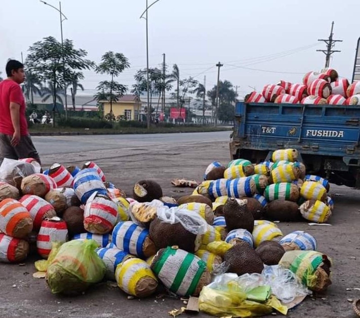 Mít chín thơm lừng chong lúc xếp hàng đợi thông quan. Biết chẳng thế chờ đến lúc đưa được hàng sang bên kia biên giới, lái xe được lệnh đổ đống mít bán vội để gỡ gạc lại tiền cước.