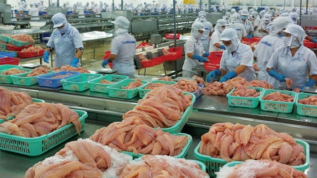 pangasius exports face hurdles due to covid-19 challenges picture 1