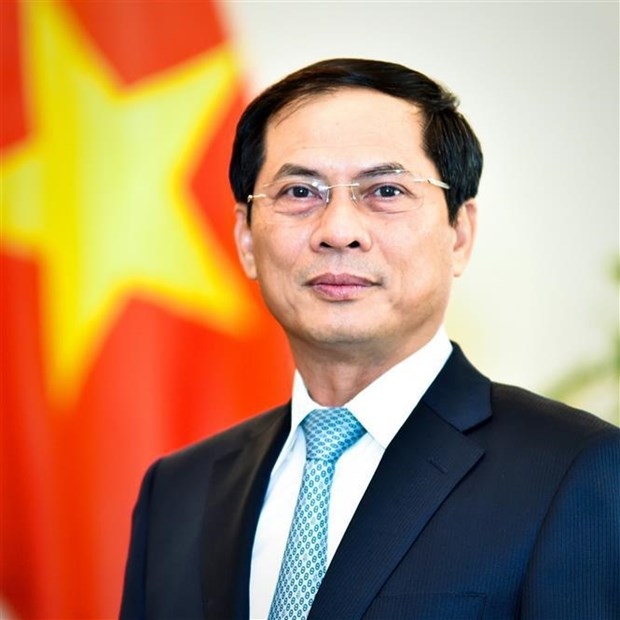 diplomatic sector helps raise vietnam s fortune, position, prestige fm picture 2