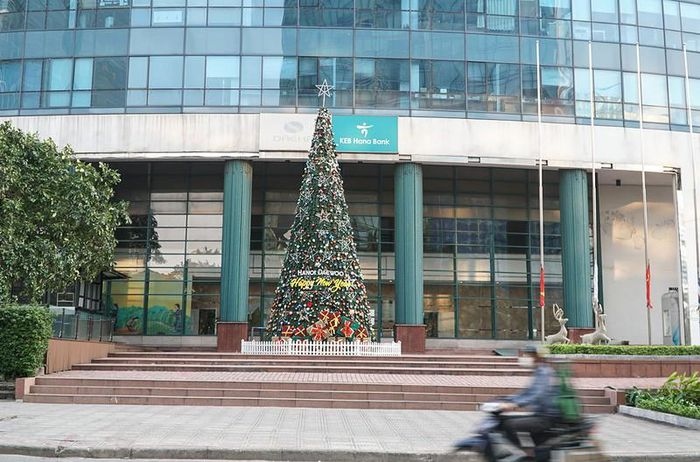 giant christmas trees bring festive cheer to streets of hanoi picture 2