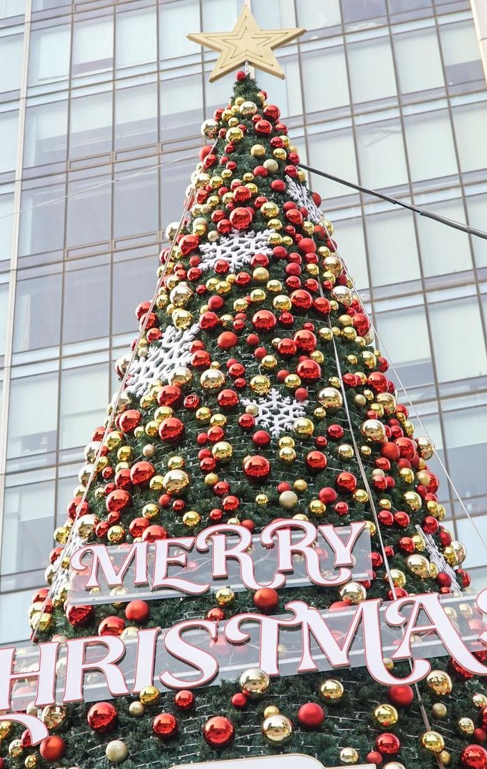 giant christmas trees bring festive cheer to streets of hanoi picture 4