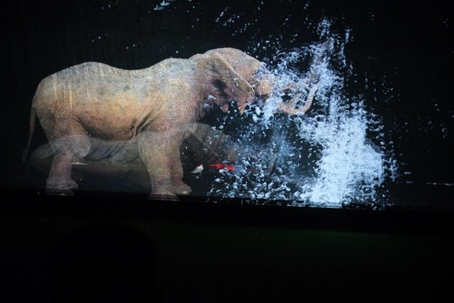 first vietnamese circus makes use of holograms instead of live animals debuts picture 1