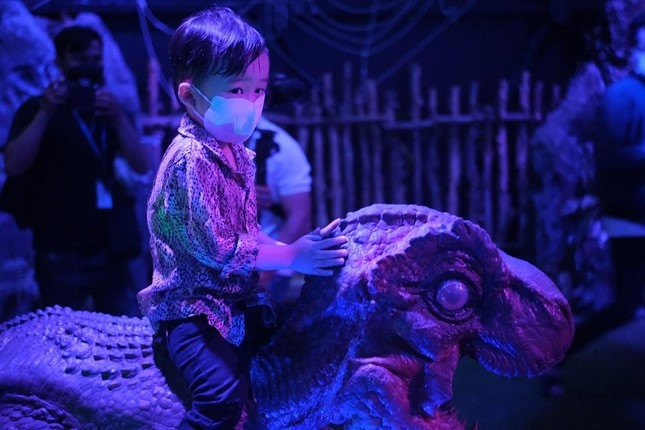 first vietnamese circus makes use of holograms instead of live animals debuts picture 5