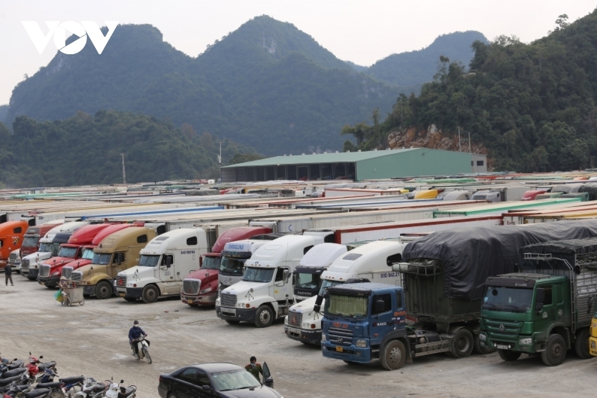 vietnam, china talk to clear backlog of container trucks at border gates picture 1