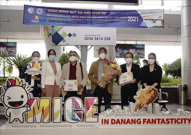 da nang welcomes first 500 mice visitors in new normal context picture 1