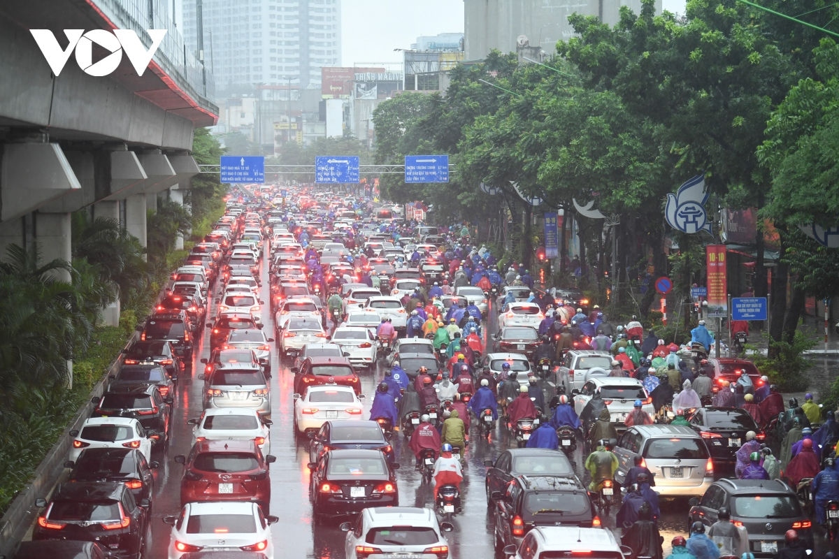 Nhóm thanh niên dầm mình trong nước lũ giải cứu hàng trăm con lợn ở Nghệ An