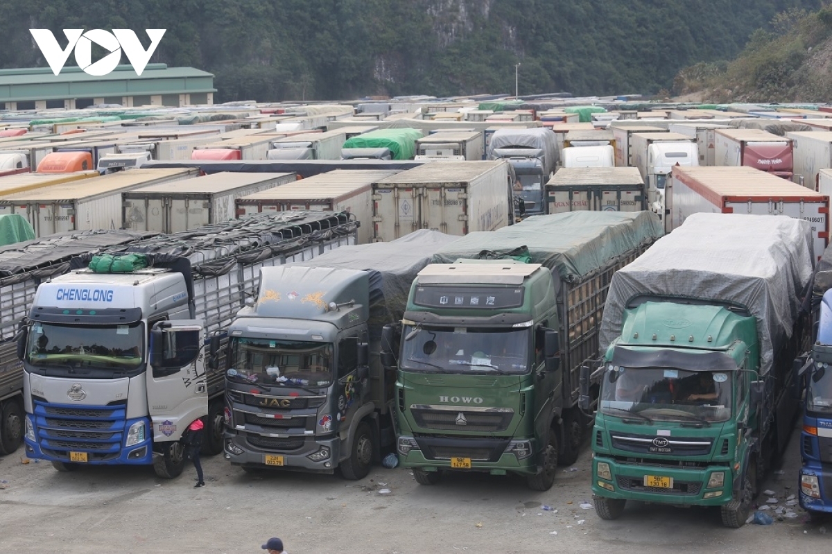 Xuất khẩu sang Trung Quốc: Nên xem xét vận chuyển hàng hóa bằng đường sắt và đường biển