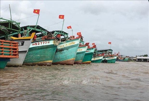 ca mau joins national efforts in iuu fishing combat picture 1