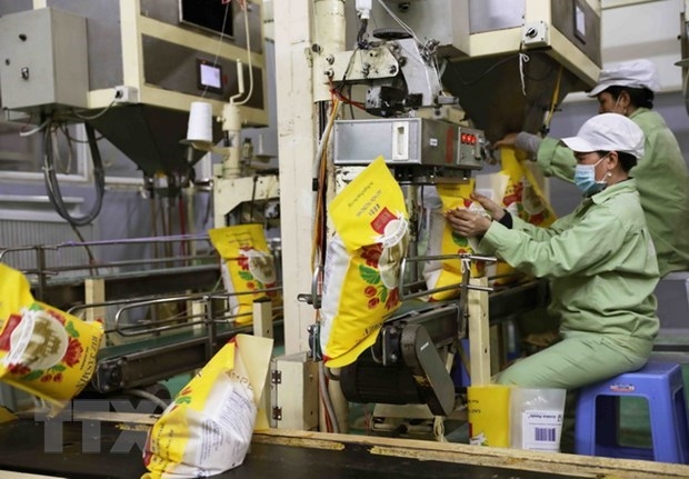 loc troi group ships over 4,000 tonnes of rice to europe picture 1