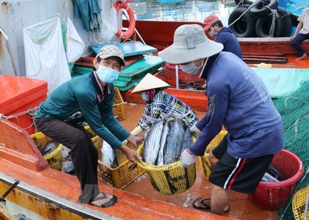 deputy minister requests efforts to remove iuu fishing warning picture 1