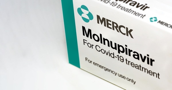 bo y te canh bao khi dung thuoc molnupiravir hinh anh 1