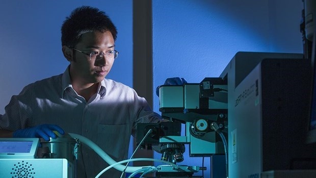 vietnamese scientist in australia honoured with science-technology prize picture 1