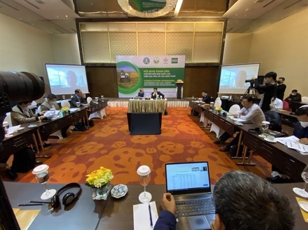 vietnamese farmers to be guided on low-carbon rice production picture 1