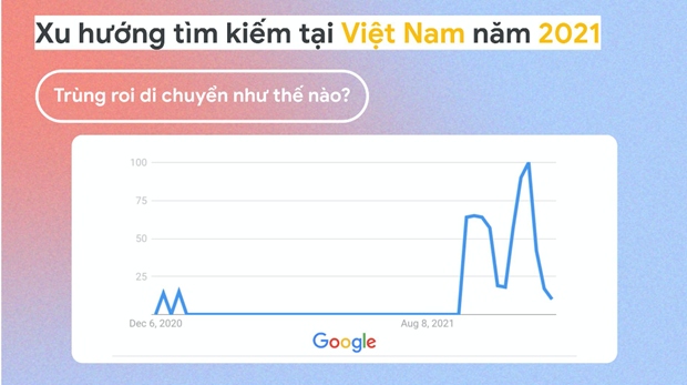 covid-19 la chu de duoc nguoi viet tim kiem nhieu nhat tren google hinh anh 2