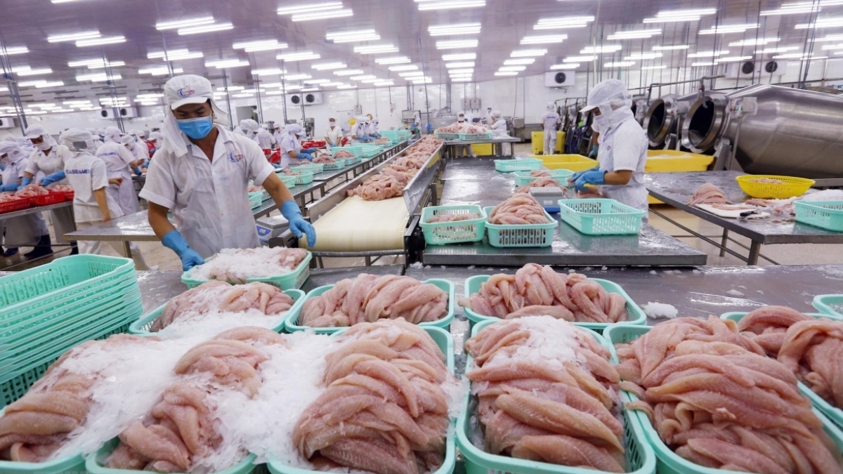 Seafood remains one of vietnam's hard currency earners every year.