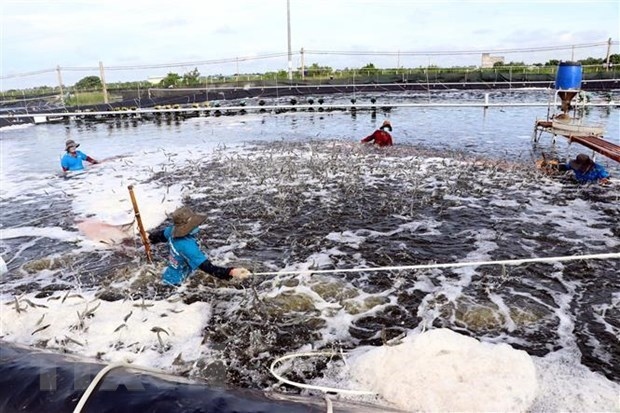 aquaculture output grows 4.17 to 4.75 million tonnes picture 1