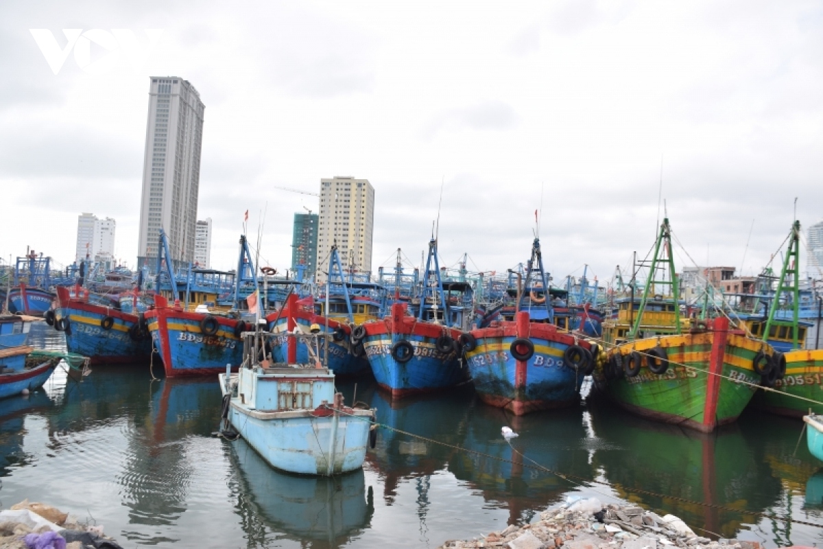 At present, dozens of fishing vessels have been brought ashore in Khanh Hoa to escape Rai's danger areas.